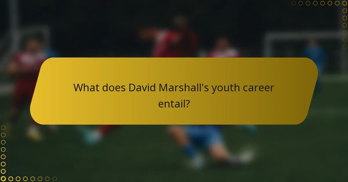 What does David Marshall's youth career entail?